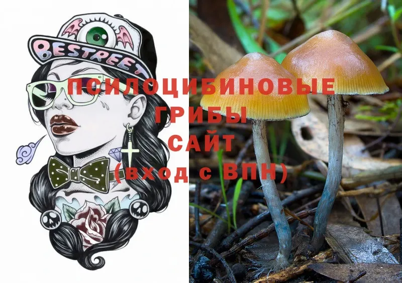 Галлюциногенные грибы Psilocybine cubensis  Бикин 